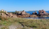 Randonnée Marche Perros-Guirec - LE SENTIER DES DOUANIERS  - Photo 4