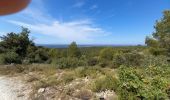 Tour Wandern Saumane-de-Vaucluse - Saumane juilet 2021 - Photo 1