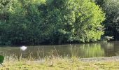 Excursión Senderismo Gisors - Gisors voie verte jusqu'à Beausséré - Photo 9