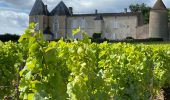 Randonnée Marche Sauternes - Châteaux de Sauternes - Photo 8