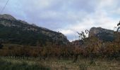 Tour Wandern Lafare - lafare les dentelles  - Photo 9