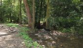 Tour Zu Fuß Welhota an der Elbe - NS Lovoš - Photo 4