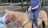 Tour Reiten Sankt Quirin - Camping st quirin belles roches abri Klein haut du bon Dieu halmoze lamperstein  - Photo 6