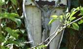 Tour Wandern Welkenrath - suuntoapp-Walking-2026-04-25T08-06-02Z - Photo 10