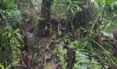 Randonnée Marche Capesterre-Belle-Eau - chutes du carbets 1 et 2 🇬🇵 - Photo 4