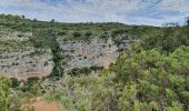 Tour Wandern Baudinard-sur-Verdon - BAUDINARD  MONPEZAT - Photo 7