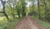 Trail Walking Nancy - Test reprise  - Photo 3
