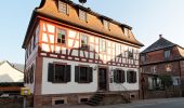 Percorso A piedi Miltenberg - Rundwanderweg Laudenbach 1 : Brunnthal-Wanderung - Photo 10