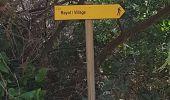 Trail Walking Cavalaire-sur-Mer - CAVALAIRE  - Photo 3