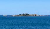 Excursión Senderismo Paimpol - Boucle Port de Paimpol pointe de Guilben - Photo 5