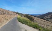 Excursión Senderismo Collioure - autour de Collioure a travers les vignes - Photo 16