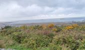 Randonnée Marche Cherbourg-en-Cotentin - Tourlaville - Collignon - Photo 1