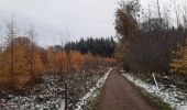 Tocht Stappen Theux - jehanster . surister . ancien moulin de jalhay . jehanster - Photo 14