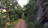 Tour Zu Fuß Edertal - Nationalparkrundweg Bloßenberg-Route - Photo 1