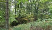 Tocht Noords wandelen Lauroux - Labeil Forêt de L'Escandorgue Roquet Escu - Photo 17