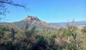 Excursión Senderismo Roquebrune-sur-Argens - Lac des Clos - Photo 3