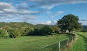 Randonnée Marche Bort-les-Orgues - Barrage de Bort les Orgues - Château de Val - Photo 2