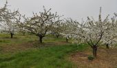 Tour Wandern Vindry-sur-Turdine - Autour de Saint loup  - Photo 3