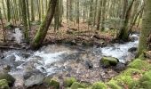 Trail Walking Le Tholy - Les 2 cascades du Tendon (grand tour) - Photo 14