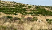 Randonnée  Peyre en Aubrac - Jour cinq Compostelle, Le Puy - Photo 2