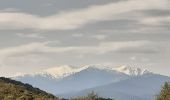 Tour Wandern Maureillas-las-Illas - dolmen de la Siureda via tour Bel Ull - Photo 2