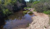 Excursión Senderismo Le Cannet-des-Maures - Les escarcets - Photo 2