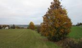 Tour Zu Fuß Liebenau - Lamerden - Hofgeismar - Photo 1