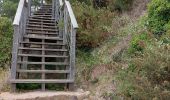 Excursión Senderismo Erquy - LE CAP D'ERQUY DEPUIS LE CAMPING LA VALLEE - Photo 7