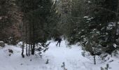 Trail Snowshoes Font-Romeu-Odeillo-Via - 20210107 raquettes à Pyrenee 2000 - Photo 6