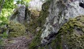 Tour Wandern Urmatt - Cascade Soultzbach - Urmatt - Photo 14