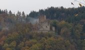 Tour Wandern Waldkirch - Waldkirch - grande boucle des ruines du Schwanzenberg - Photo 3