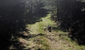 Tocht Trail Arfons - rando cheval - Photo 18