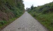 Trail On foot Leuven - Sint-Kamilluswandelpad - Photo 2