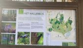 Tour Wandern Halle - Bois Halle  - Photo 4