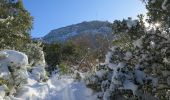 Tour Wandern Gémenos - pic de bertagne - Photo 1