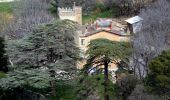 Tocht Stappen Ceyreste - Autour du Montounier 2eme version - Photo 8