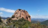 Trail Walking Saint-Raphaël - Pic de l'ours et pic d'Aurelle - Photo 6