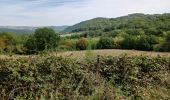 Tocht Stappen Pouzol - Vallée de Chouvigny - Photo 3