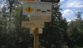 Trail Walking Pontarlier - le grand taureau - Photo 9