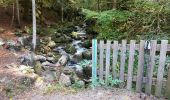 Tocht Stappen Remiremont - Remiremont - baraque des gardes - étang du Villerain - cascade du Géhart - étangs et prieuré d'Hérival  - Photo 15