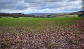 Trail Walking Wellin - Daverdisse 040124 - Photo 4