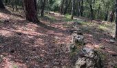 Trail  Vence - La sine 06. 1 - Photo 3