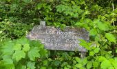 Trail Walking Trescléoux - Trescloux le Suillet - Photo 14