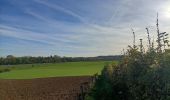 Tour Wandern Heerlen - Putberg tot Slakkenpad en terug  - Photo 5