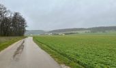 Tour Wandern Les Riceys - Ricey bois, cadoles et vignes 13 km - Photo 16