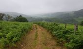 Tocht Stappen Mendionde - le mont baïgura  - Photo 6