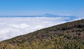 Excursión Senderismo Garafía - La Palma 5 : GR131- Roque de Los Muchachos - Pic de la Nieve - Photo 6