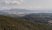 Percorso Marcia Sanary-sur-Mer - Sanary : La Pointe du Cerveau - Photo 2