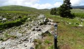 Trail On foot Westport-Belmullet Municipal District - Botky Teep - Photo 2