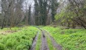 Excursión Senderismo Mons - Mons Havré St Denis Obourg 18,4 km - Photo 10